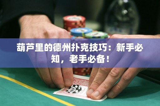 葫蘆里的德州撲克技巧：新手必知，老手必備！