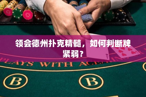 領(lǐng)會(huì)德州撲克精髓，如何判斷牌緊弱？