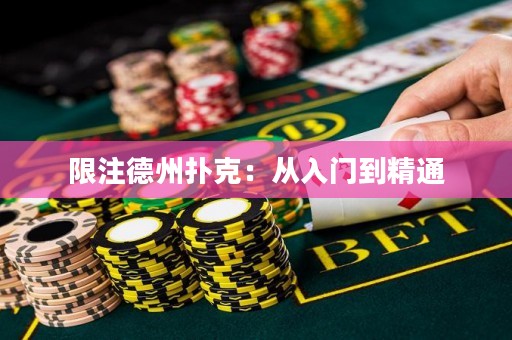 限注德州撲克：從入門到精通
