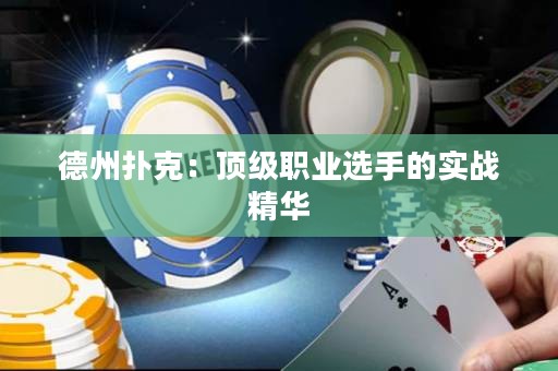 德州撲克：頂級(jí)職業(yè)選手的實(shí)戰(zhàn)精華