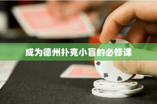 成為德州撲克小盲的必修課
