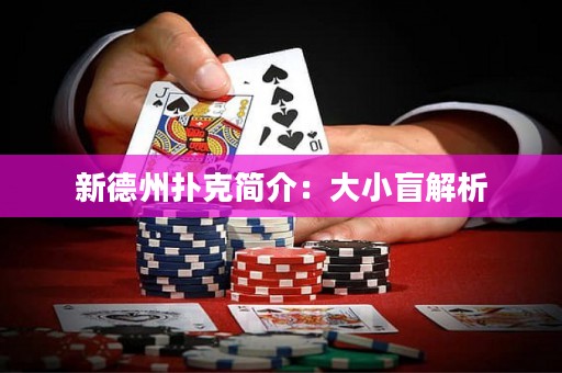 新德州撲克簡(jiǎn)介：大小盲解析
