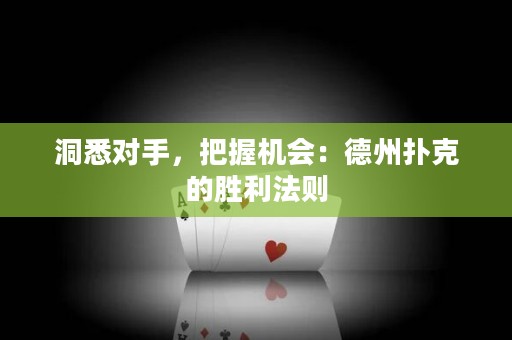 洞悉對(duì)手，把握機(jī)會(huì)：德州撲克的勝利法則