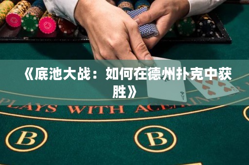 《底池大戰(zhàn)：如何在德州撲克中獲勝》