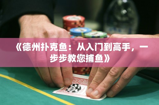 《德州撲克魚(yú)：從入門(mén)到高手，一步步教您捕魚(yú)》
