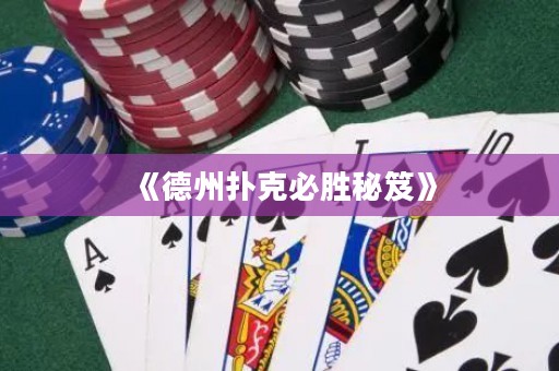 《德州撲克必勝秘笈》