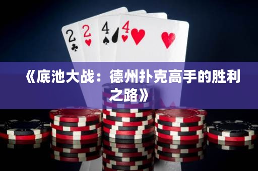 《底池大戰(zhàn)：德州撲克高手的勝利之路》