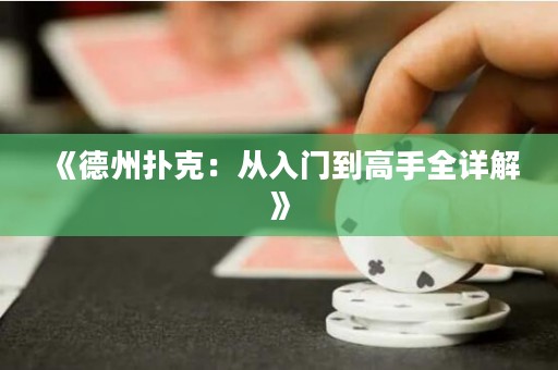 《德州撲克：從入門到高手全詳解》