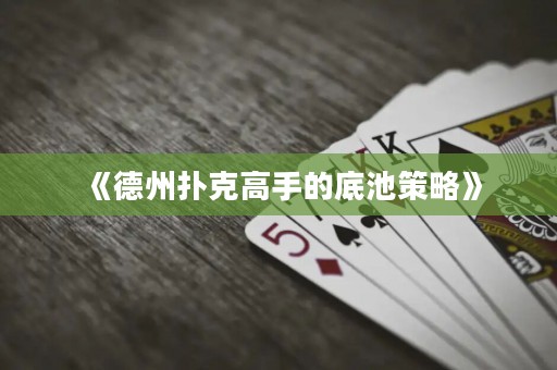 《德州撲克高手的底池策略》