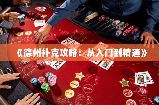 《德州撲克攻略：從入門到精通》