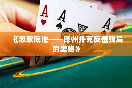 《汲取底池——德州撲克反擊殘局的奧秘》