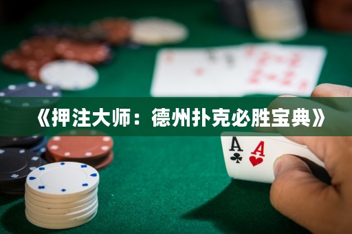 《押注大師：德州撲克必勝寶典》